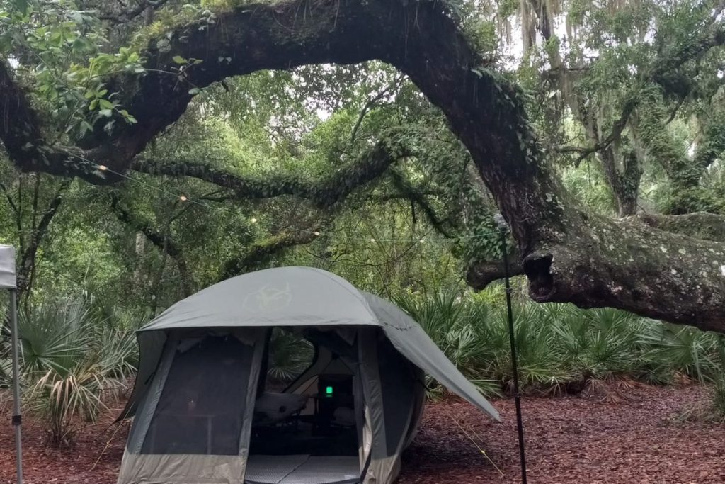 TOP 6-PERSON INSTANT TENT THIS IS AN IMAGE OF A TENT UNDER AN OAK TREE
