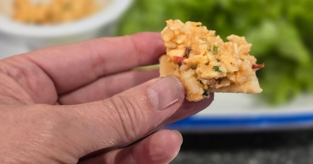 Blue Hen Cafe: St. Augustine’s Best Breakfast Spot THIS IS AN IMAGE OF THE CHIPOTLE PIMENTO CHEESE