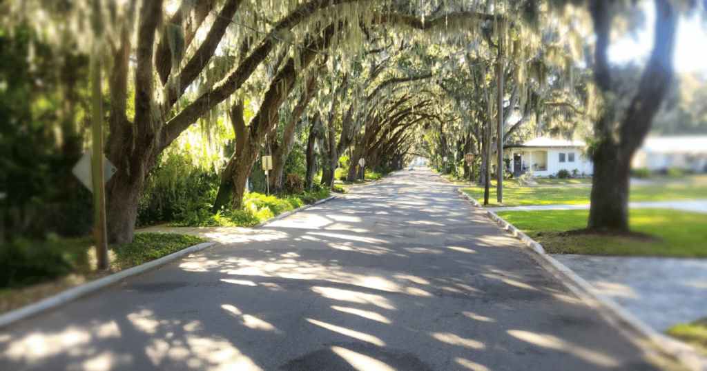 OFF THE BEATEN PATH ST. AUGUSTINE MAGNOLIA AVENUE
