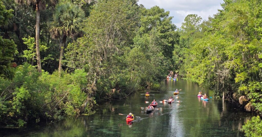 Silver Springs, Florida, kayaking GUIDED KAYAK TOUR ON THE SILVER RIVER