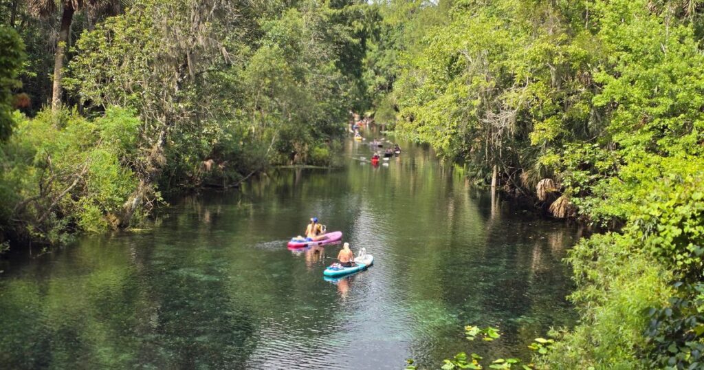 Fort King Waterway SUP route SILVER SPRINGS STATE PARK KAYAKING
