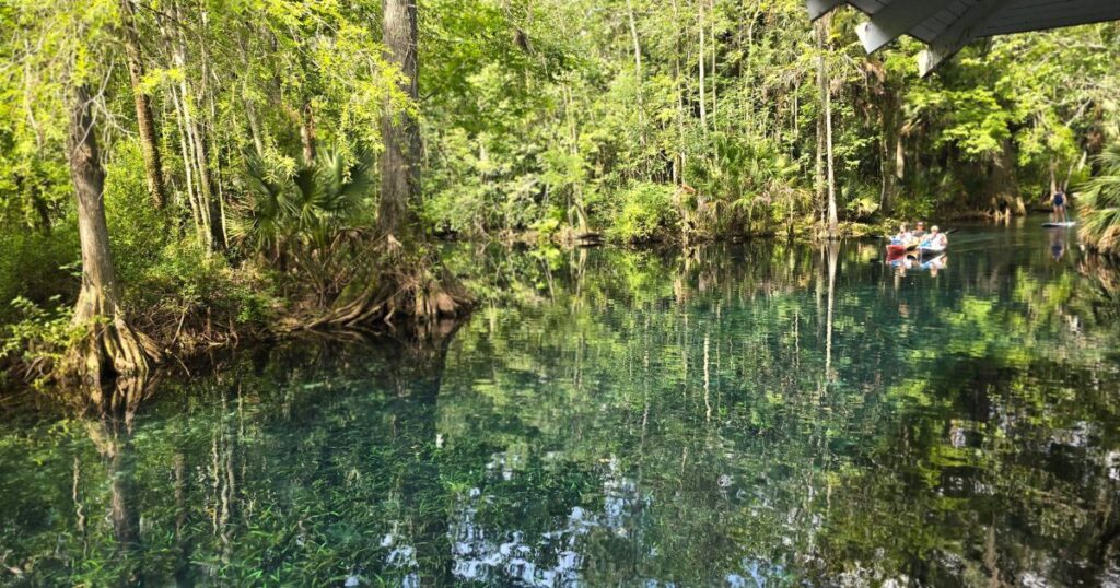 things to do at Silver Springs State Park KAYAKING