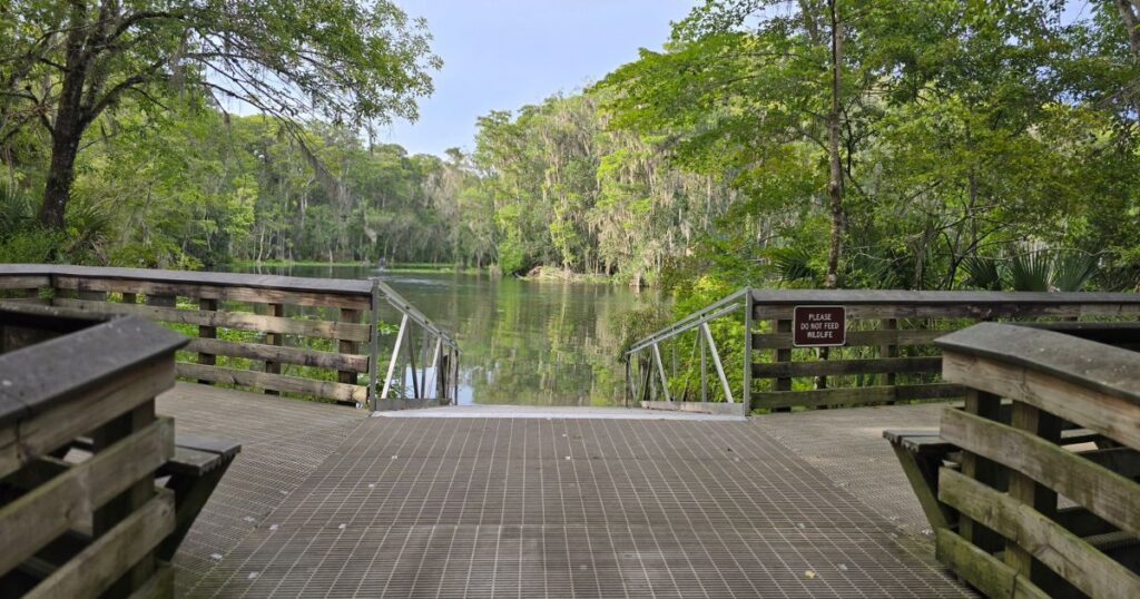 Silver Springs, Florida kayaking KAYAK LAUNCH IN CAMPING SECTION