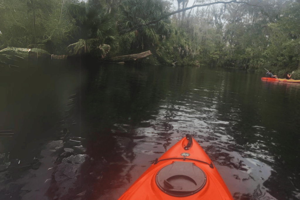Ultimate Guide to Florida State Parks KAYAKING SILVER SPRINGS STATE PARK