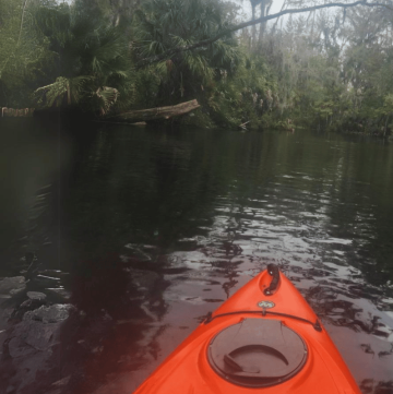 KAYAK AT SILVER SPRINGS STATE PARK FLORIDA