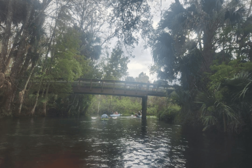 silver springs state park bridge over water