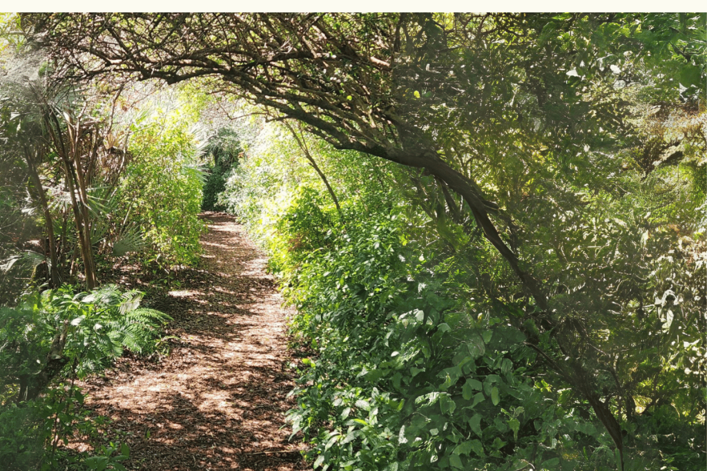 Shaded walking path through historic Bok Tower Gardens surrounded by native plants