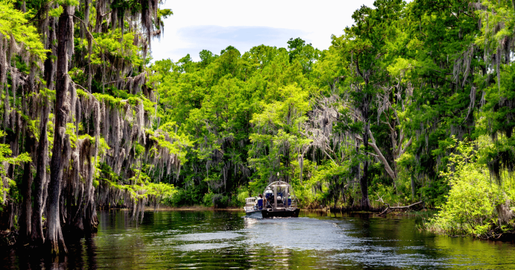 AIR BOAT ON WATER