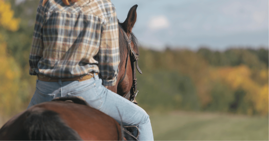PERSON ON HORSEBACK