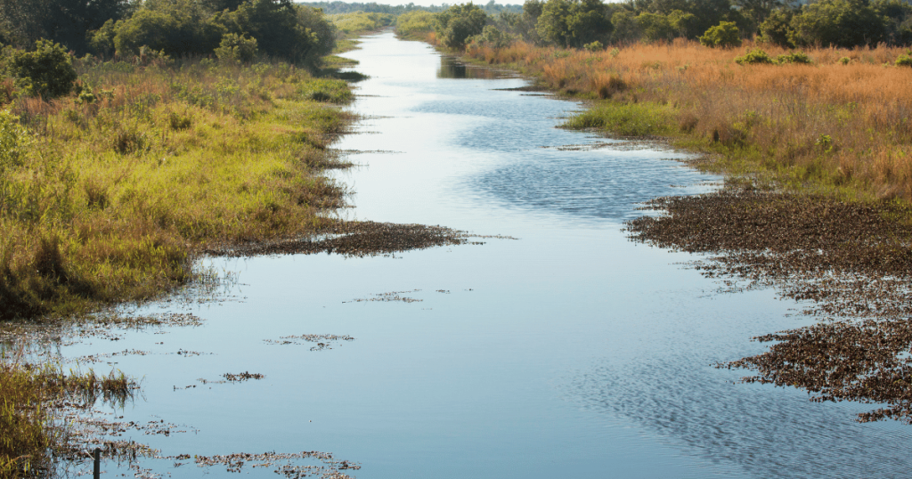 LAKE KISSIMMEE STATE PARK PADDLE TRAIL