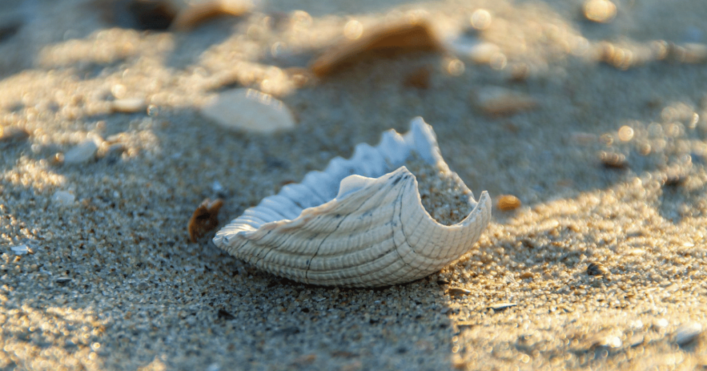 BEAUTIFUL FLORIDA CAMPING AT FORT DE SOTO CAMPGROUND