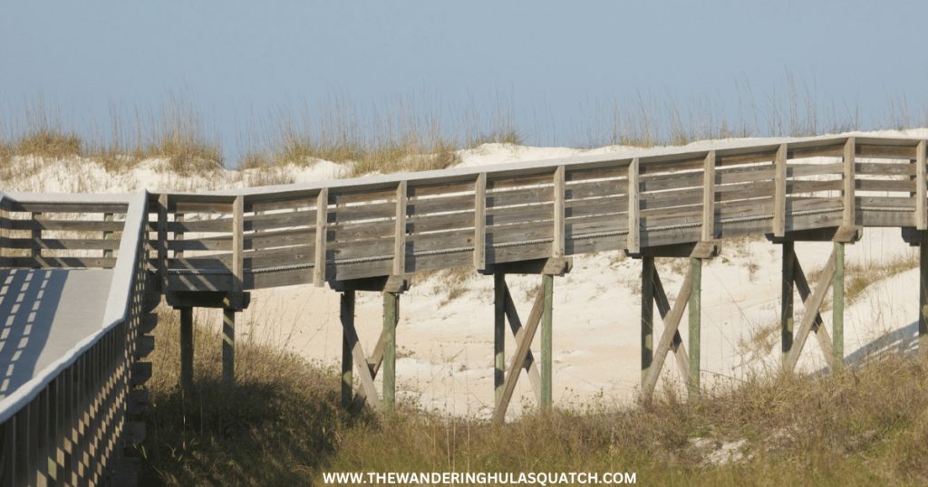 ANASTASIA STATE PARK BOARDWALK TO THE BEACH