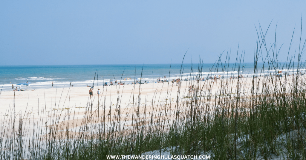 BEACH AT ANASTASIA STATE PARK IN ST AUGUSTINE FL