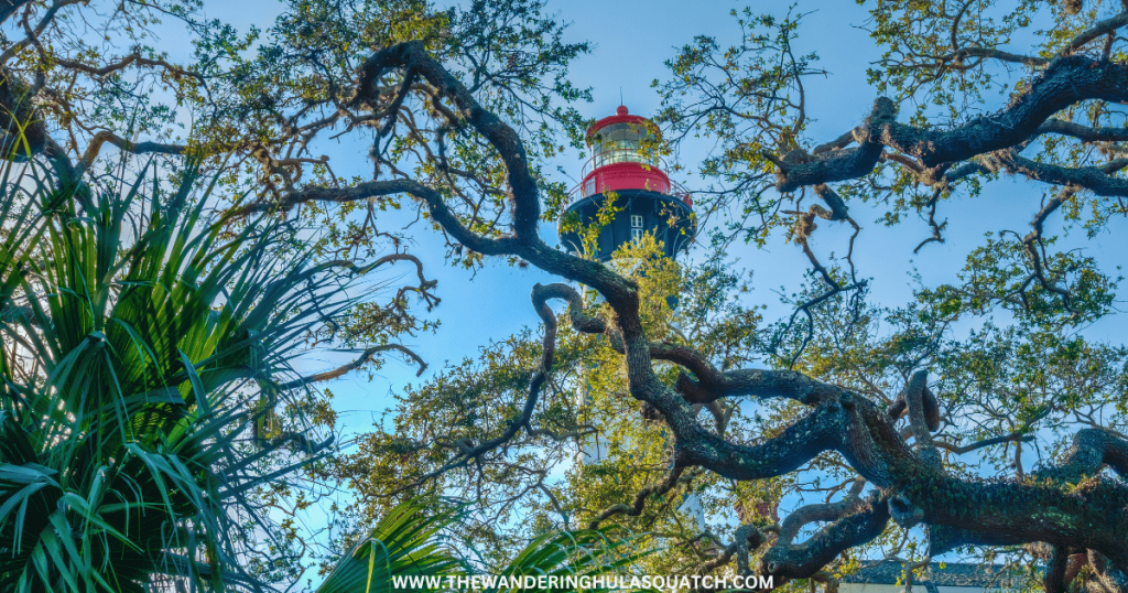 ST AUGUSTINE LIGHTHOUSE THROUGH TREES