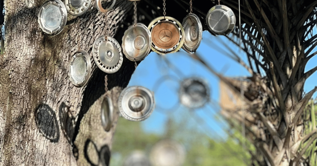 HUBCAPS HANGING FROM A TREE SATCHEL'S PIZZA GAINESVILLE,FL