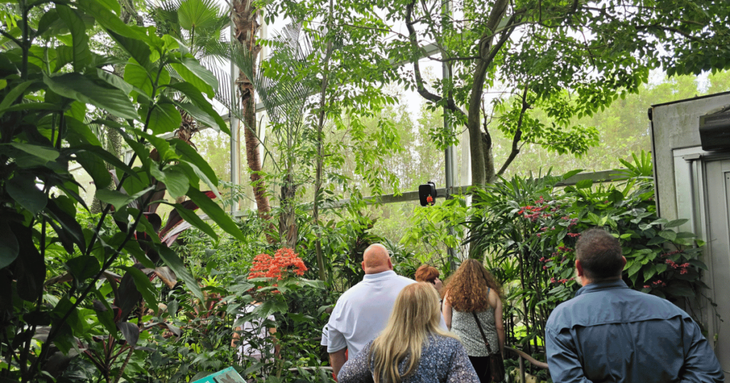 Best Butterfly Museum: Gainesville FL Fall Family Fun inside the butterfly exhibit