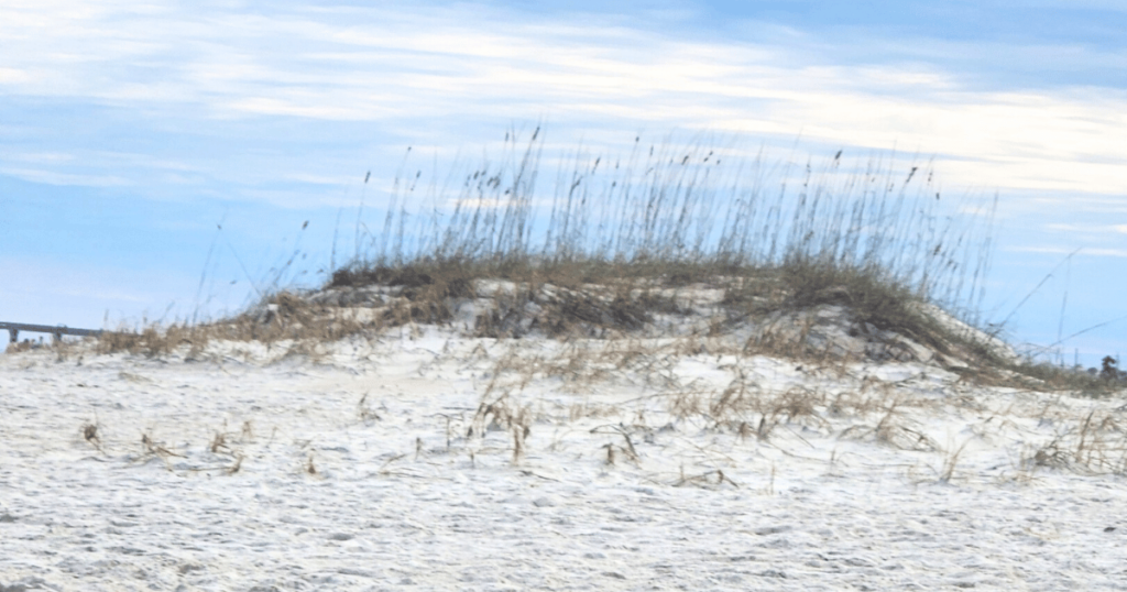 St. Augustine Nights of Lights Christmas in Florida beach