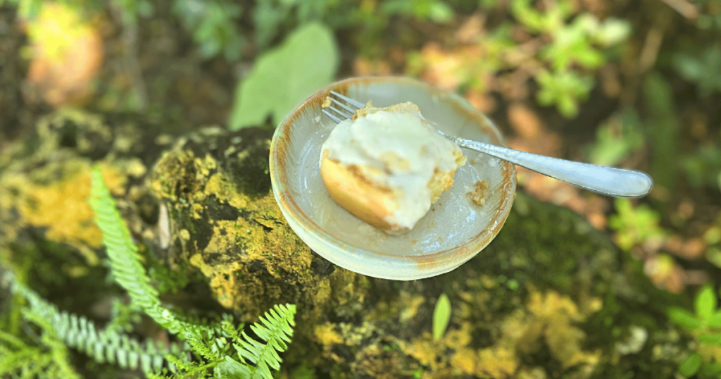 DECADENT HOMEMADE SOUR CREAM CINNAMON ROLLS RECIPE cinnamon roll at camp