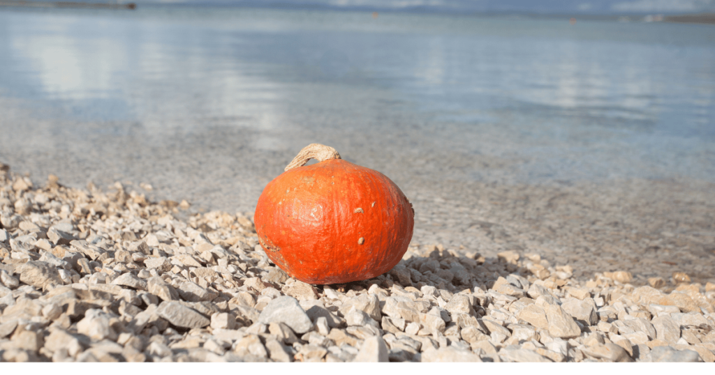 FALL OUTDOORS IN FLORIDA: GUIDE TO AUTUMN ADVENTURES pumpkin on beach