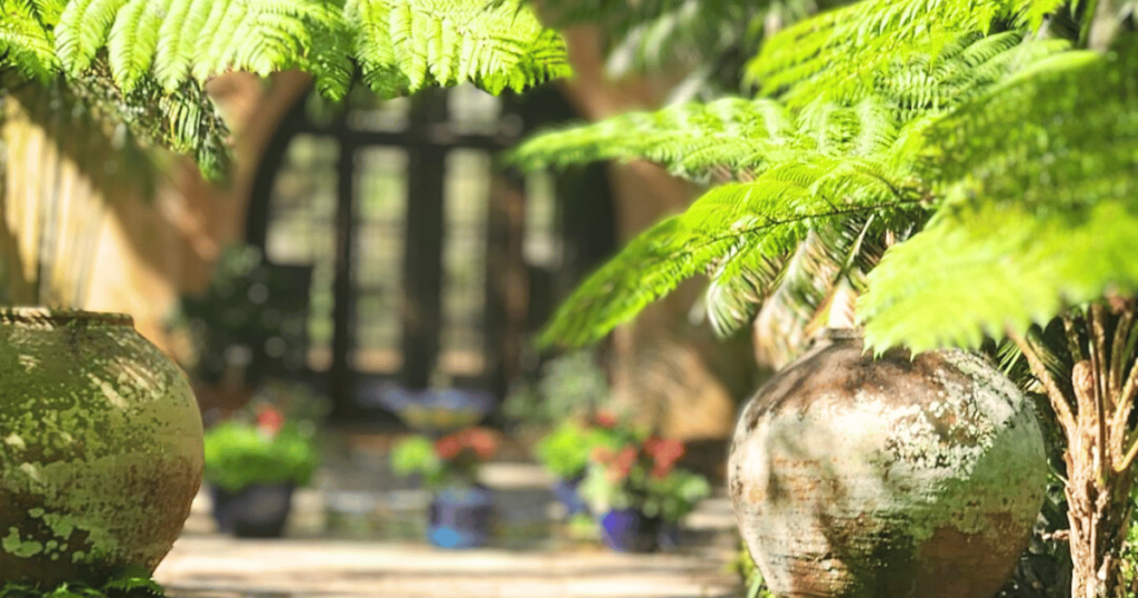 FALL OUTDOORS IN FLORIDA: GUIDE TO AUTUMN ADVENTURES entrance to garden