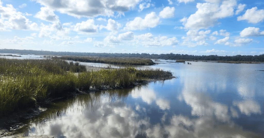 Photo courtesy of Florida State Parks. salt marsh