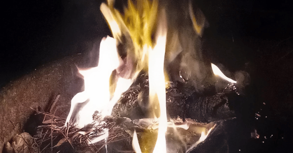 Photo courtesy of Florida State Parks. camp fire