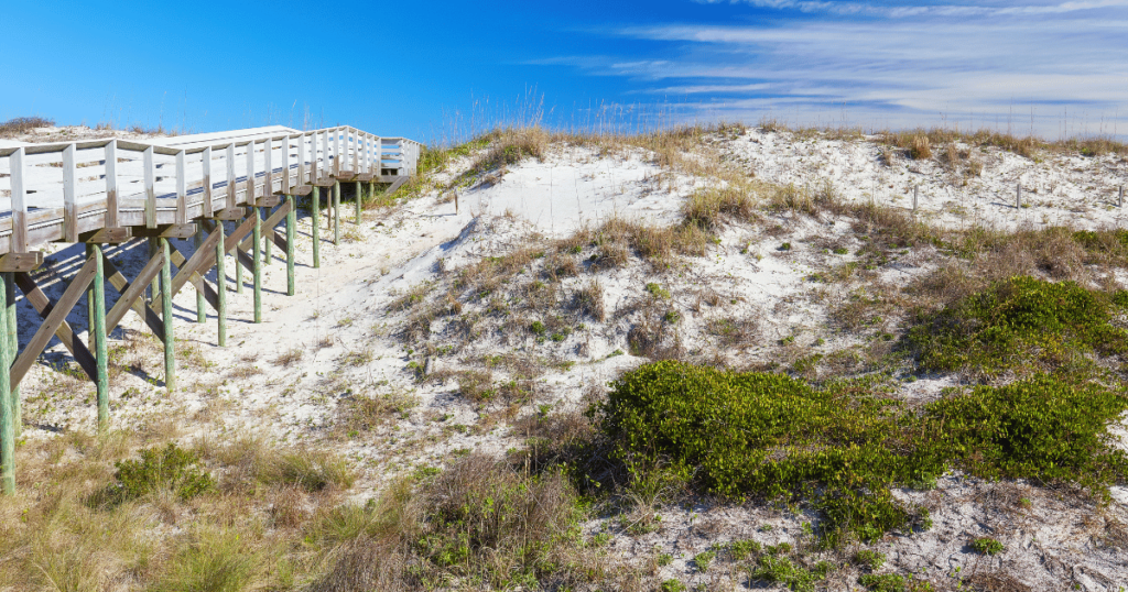 Photo courtesy of Florida State Parks. beach boardwalk