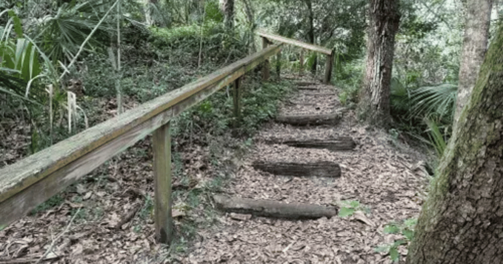 Photo courtesy of Florida State Parks. trail at Anastasia State PArk