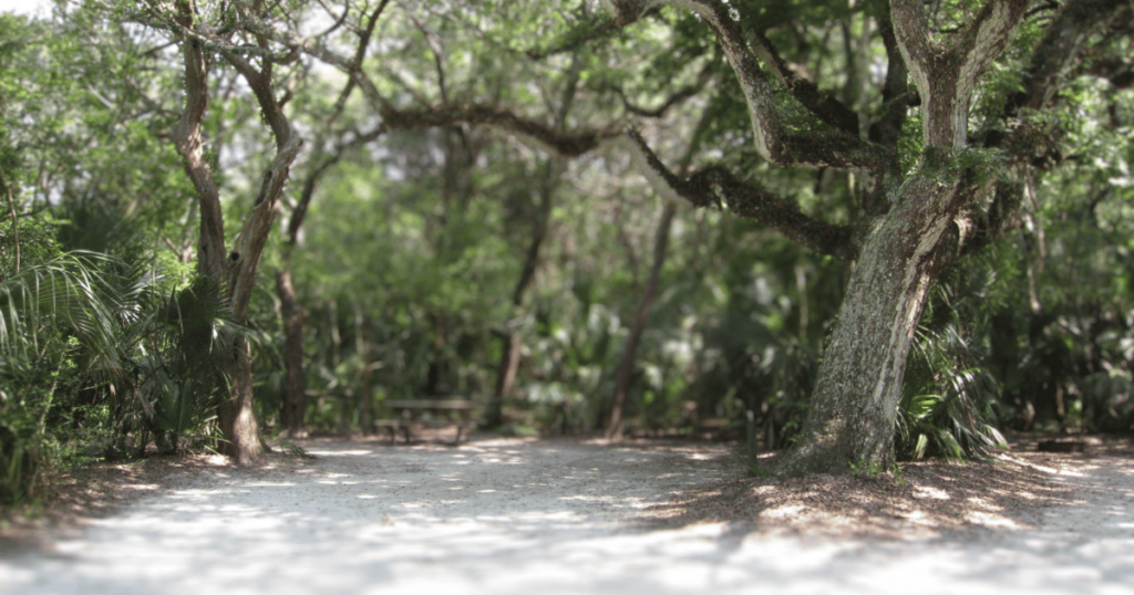 Photo courtesy of Florida State Parks. empty campsite