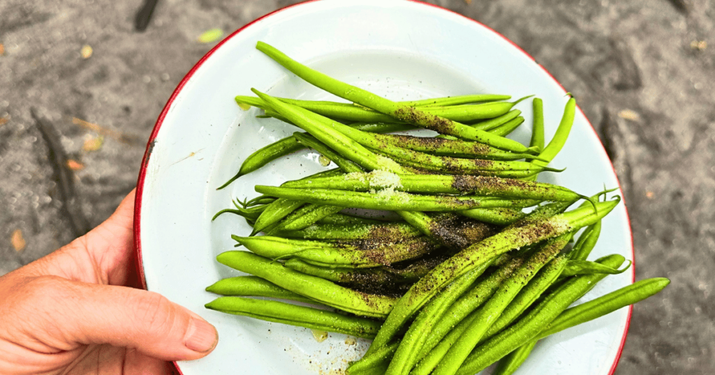 QUICK & EASY CAMPING SIDE DISH IDEAS FOR OUTDOOR ADVENTURES green beans on a white plate