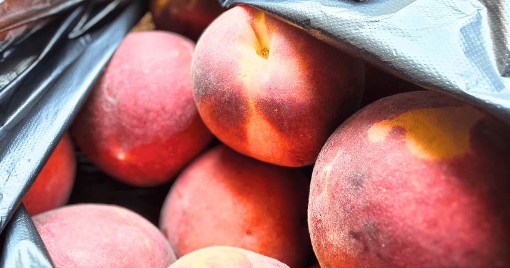 QUICK & EASY CAMPING SIDE DISH IDEAS FOR OUTDOOR ADVENTURES bag of peaches