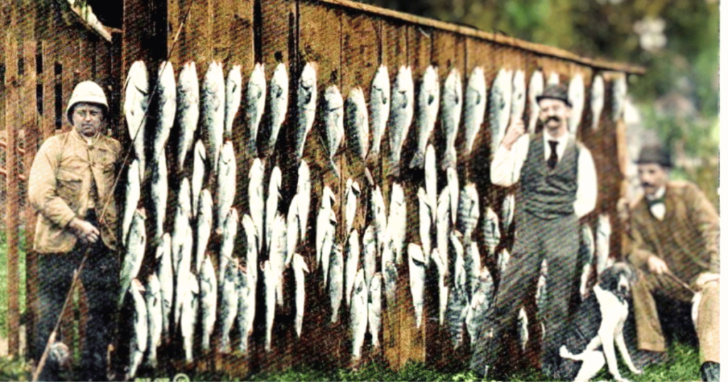 SOUTHERN CHURCH FISH FRY BEST SEAFOOD DIVES IN FLORID OLD FLORIDA TONS OF FISH