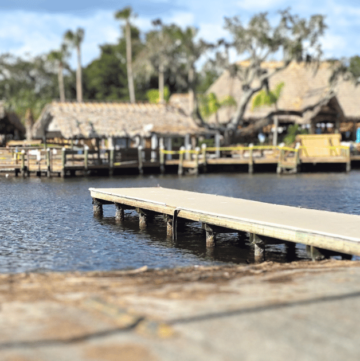 DIVE INTO CRUMPS' LANDING IN HOMOSASSA, FLORIDA water view