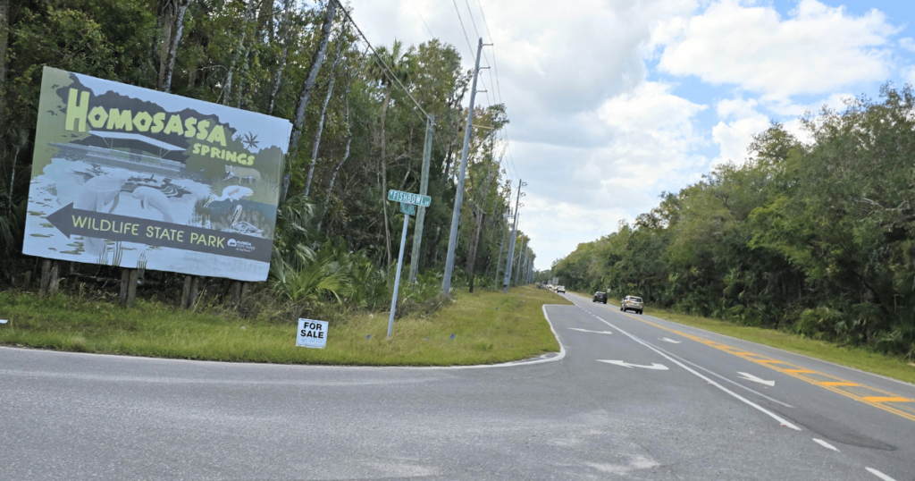 THE ULTIMATE FLORIDA DAY TRIP TO HOMOSASSA, FLORIDA this is an image of a vintage billboard for Homosassa Springs.