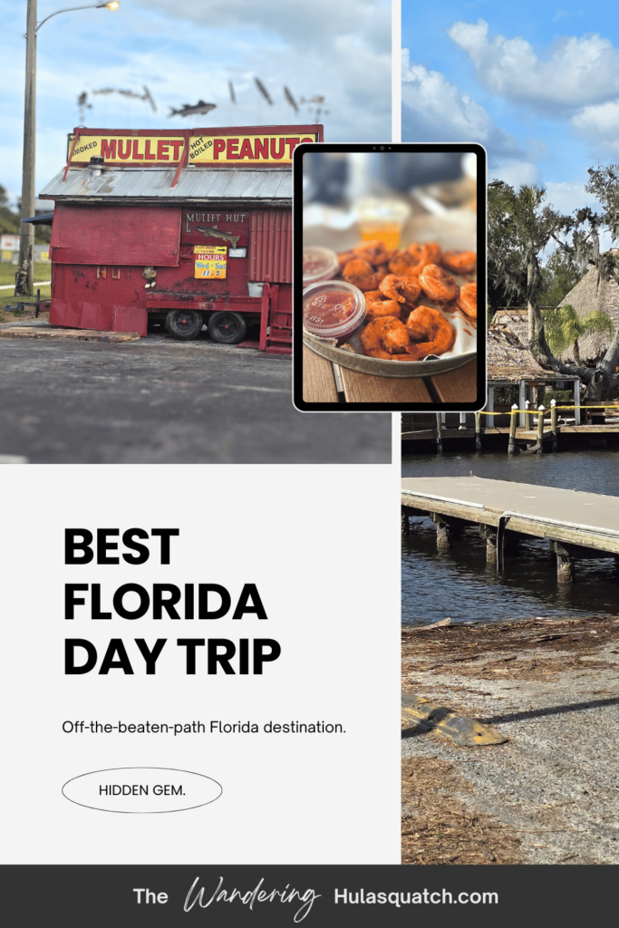 THE ULTIMATE FLORIDA DAY TRIP TO HOMOSASSA, FLORIDA this is an image of a Pinterest pin.