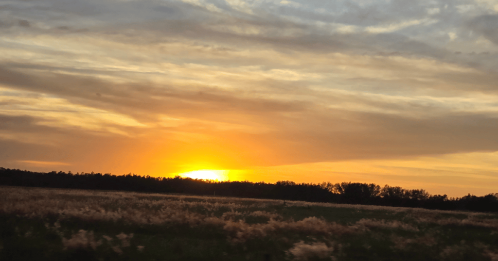 THE ULTIMATE FLORIDA DAY TRIP TO HOMOSASSA, FLORIDA this is an image of a glorious Florida sunset.