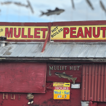 THE ULTIMATE FLORIDA DAY TRIP TO HOMOSASSA, FLORIDA this is an image of a boiled peanut and mullet shack.