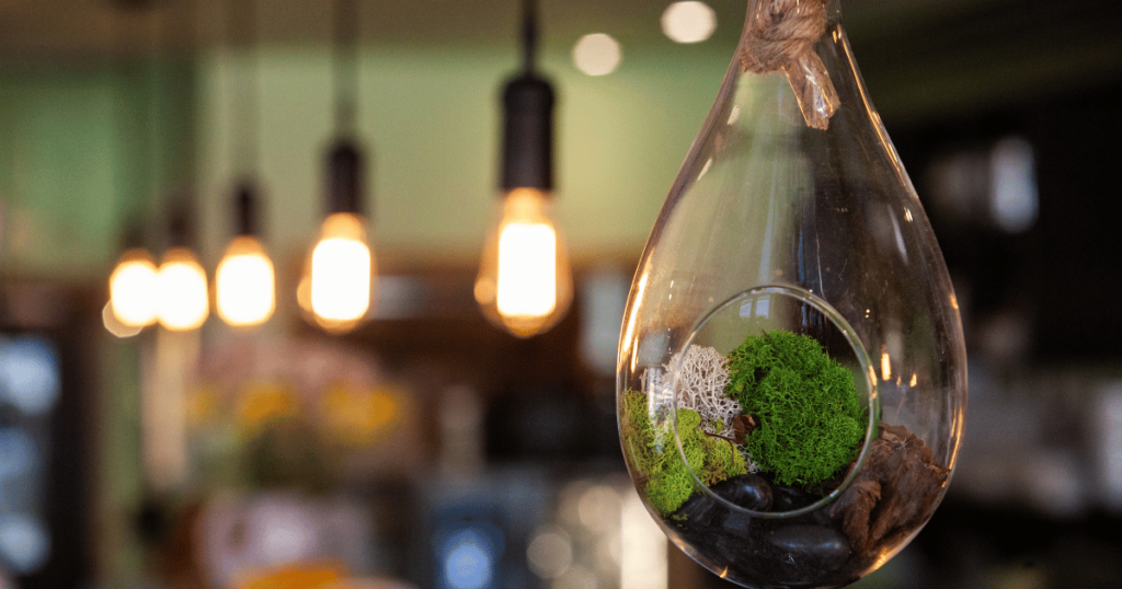 This is am image of string lights with a hollowed out globe with moss in it