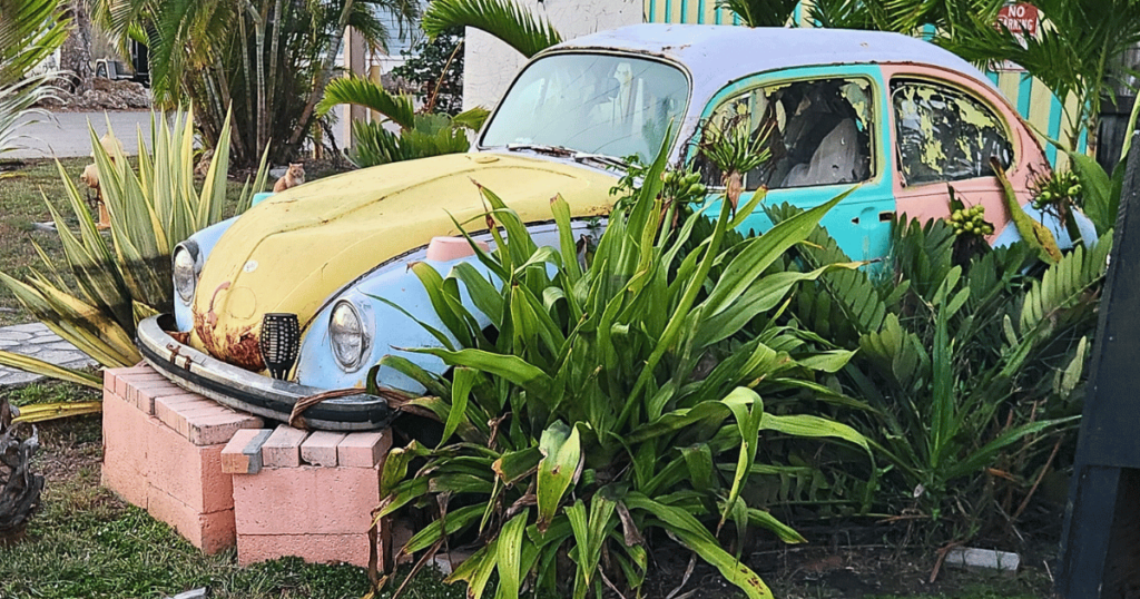 THIS IS AN IMAGE OF AN OLD VW BUG AT CAMELLIA STREET GRILLE IN THE EVERGLADES