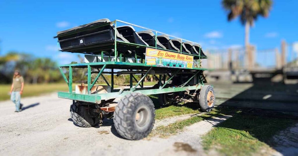 EPIC FLORIDA DAY TRIP EVERGLADES AIRBOAT RIDE AT WOOTEN'S swamp buggy