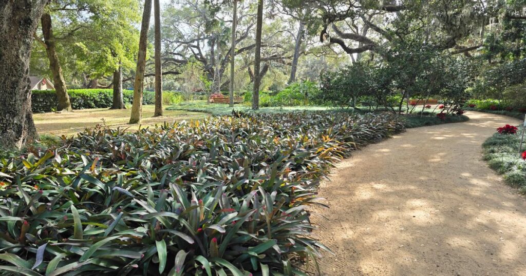 this is an image of a garden pathway at washington oaks gardens