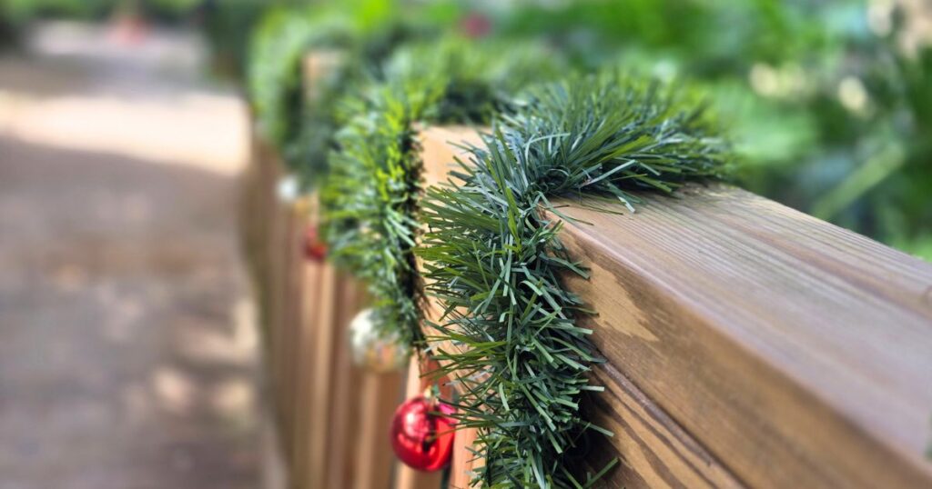  discover Washington Oaks, St. Augustine's hidden gem christmas at washington oaks