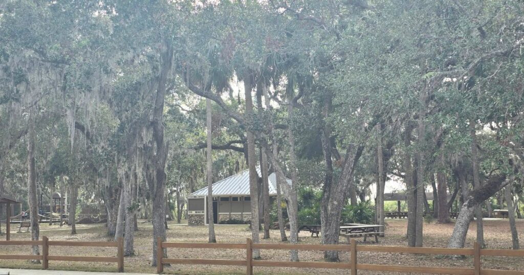 this is an image of a picnic area