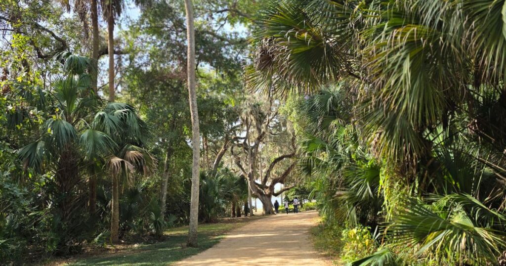this is an image of a shaded pathway in st. augustine's hidden gem