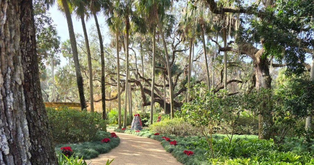  discover Washington Oaks, St. Augustine's hidden gem pathway