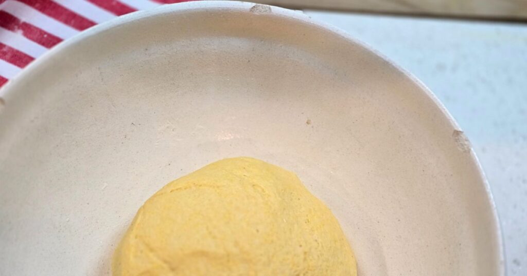 this is an image of dough proofing in a white bowl