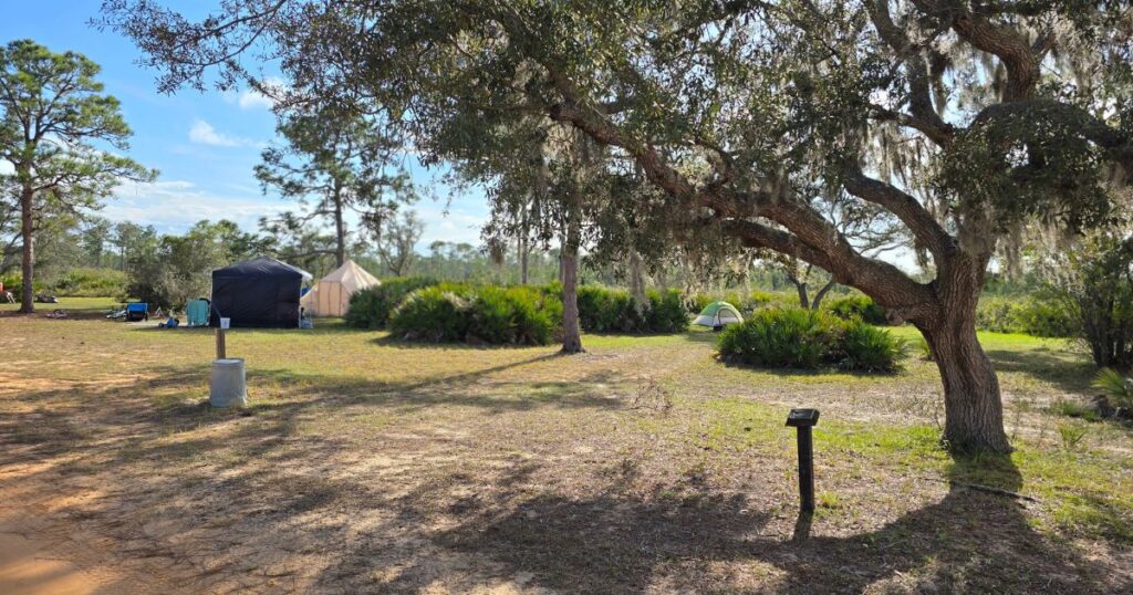 HIGHLANDS HAMMOCK STATE PARK THIS IS AN IMAGE OF DISPERSED CAMPING