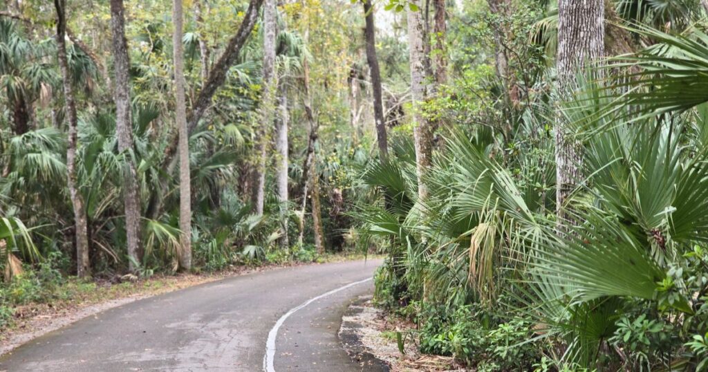 THIS IS AN IMAGE ENTERING HIGHLANDS HAMMOCK STATE PARK