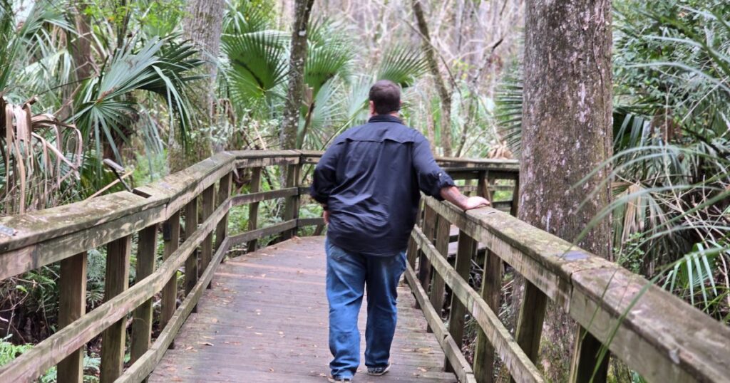 Highlands Hammock State Park This is an image OF A MAN WALKING ON A BOARDWALK IN A SWAMP