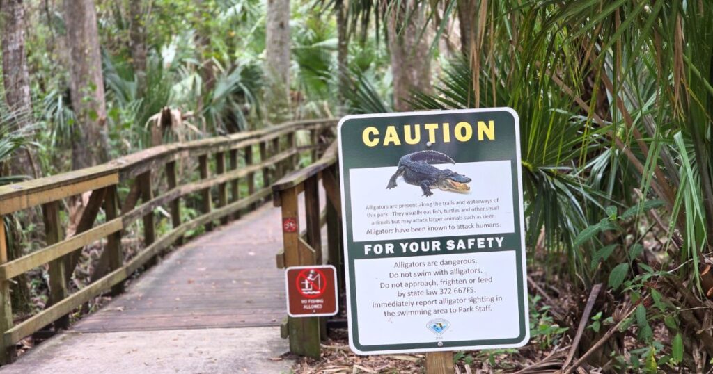 THIS IS AN IMAGE OF A BOARDWALK AND A GATOR WARNING SIGN AT HIGHLANDS HAMMOCK STATE PARK
